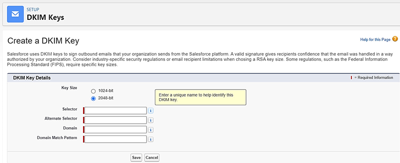 Review the Create a DKIM Key in Salesforce fields with IT.